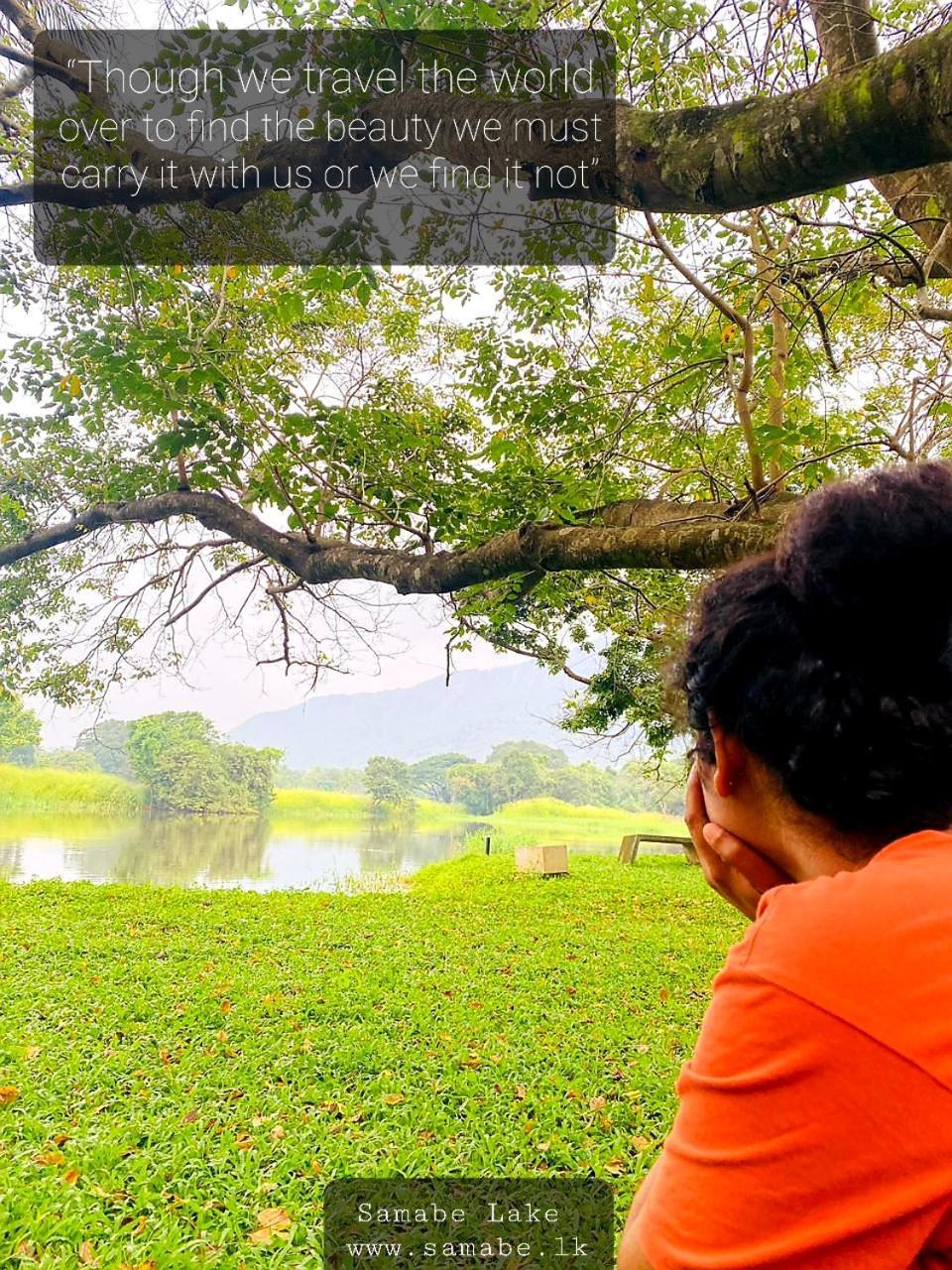 Samabe Lake Dambulla Eksteriør billede