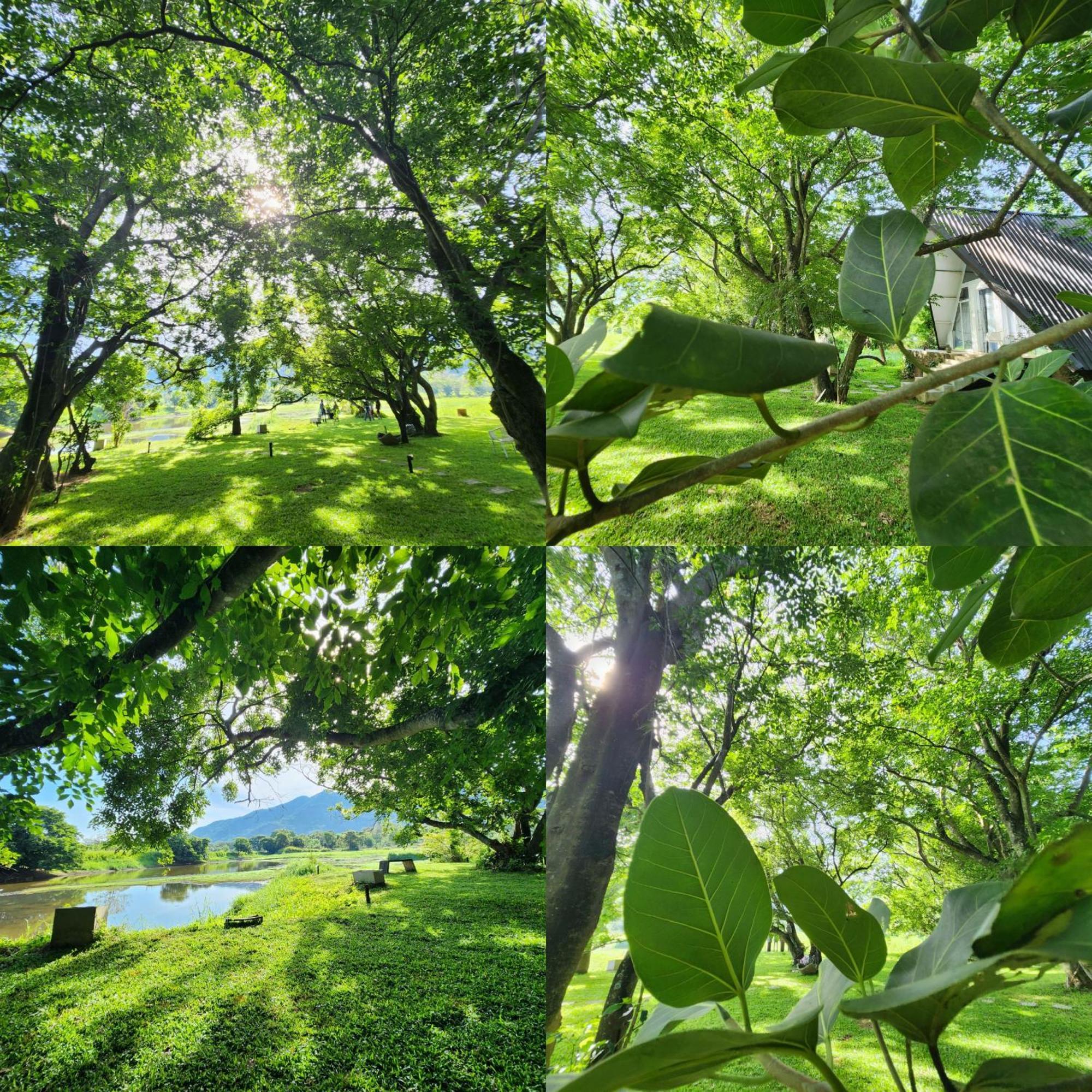 Samabe Lake Dambulla Eksteriør billede